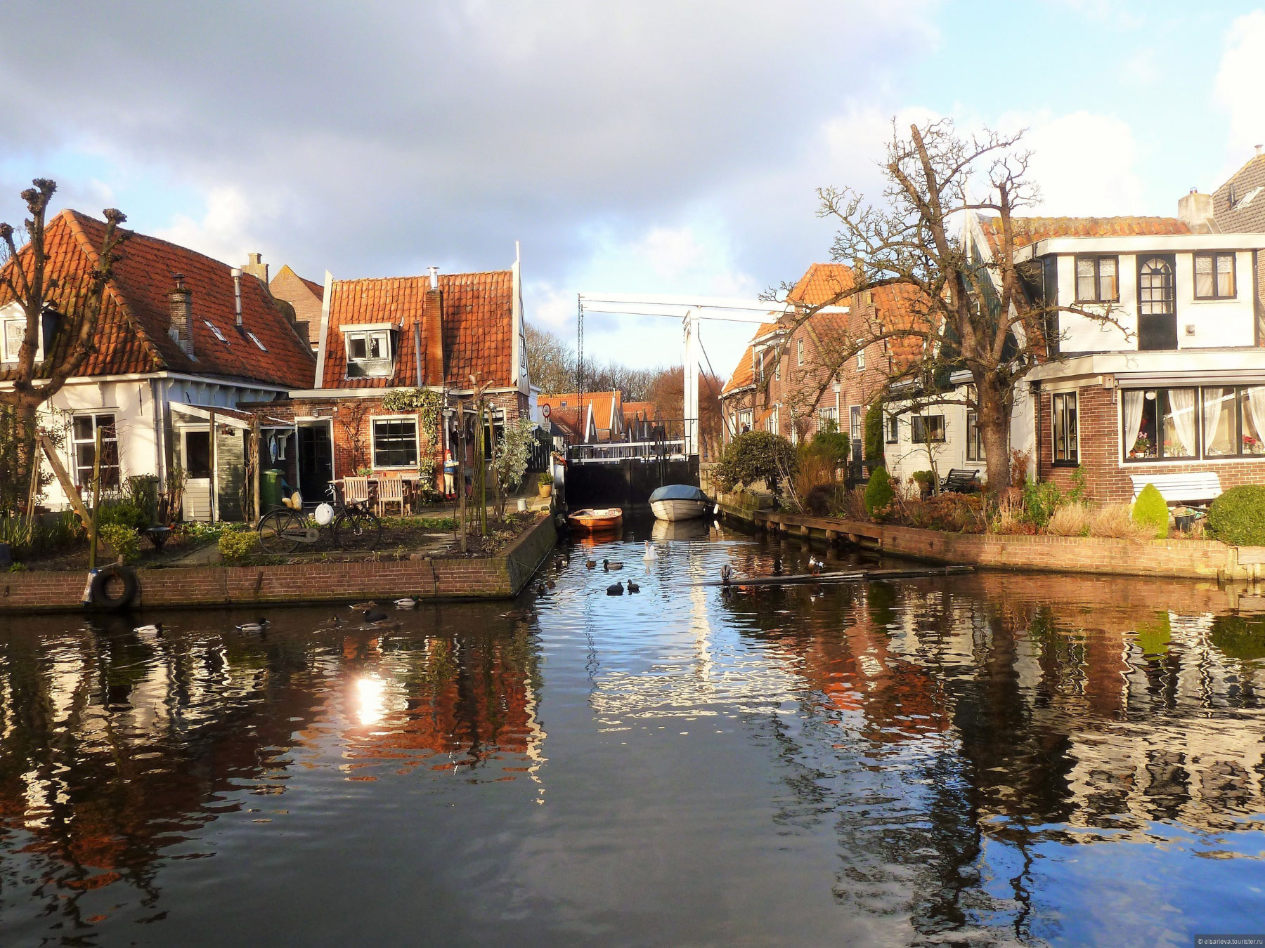 Edam